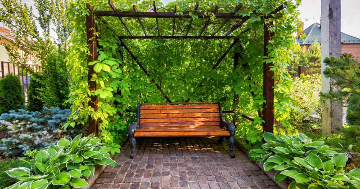 Een tuin aanleggen in stedelijk gebied